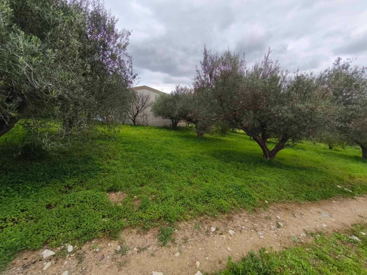 Building Plot in Keramoutsi, Tetrachori — Photo 6 of 7