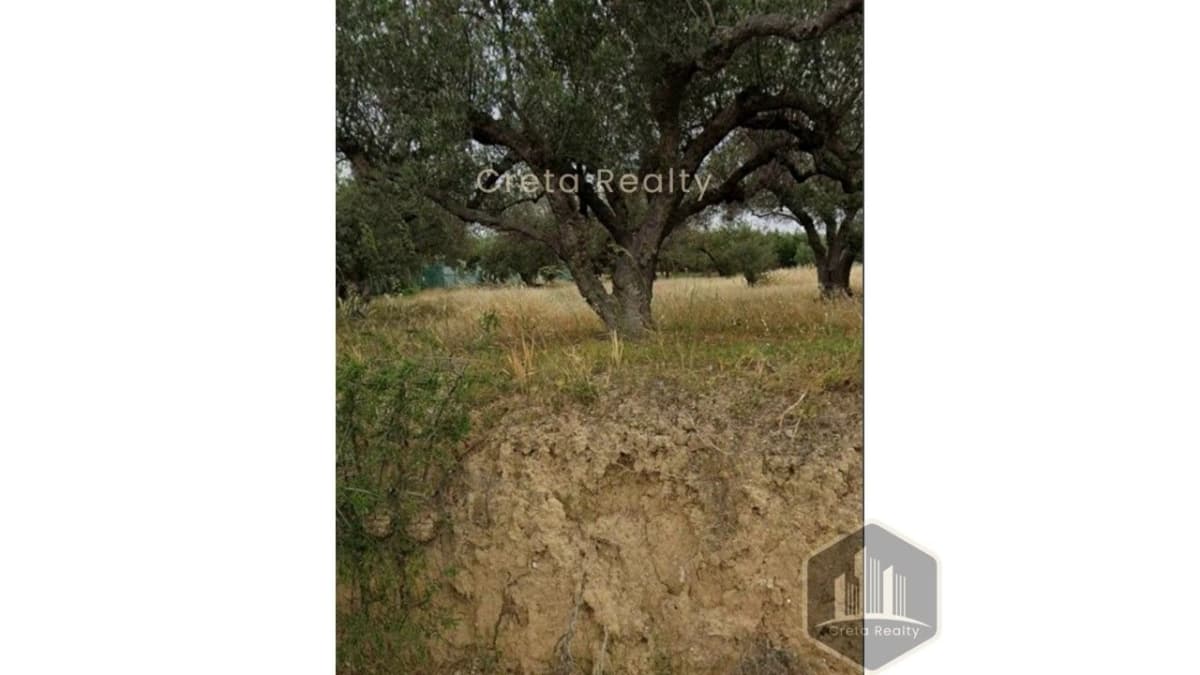 Building Plot in Skalani, Episkopi — Photo 3 of 11