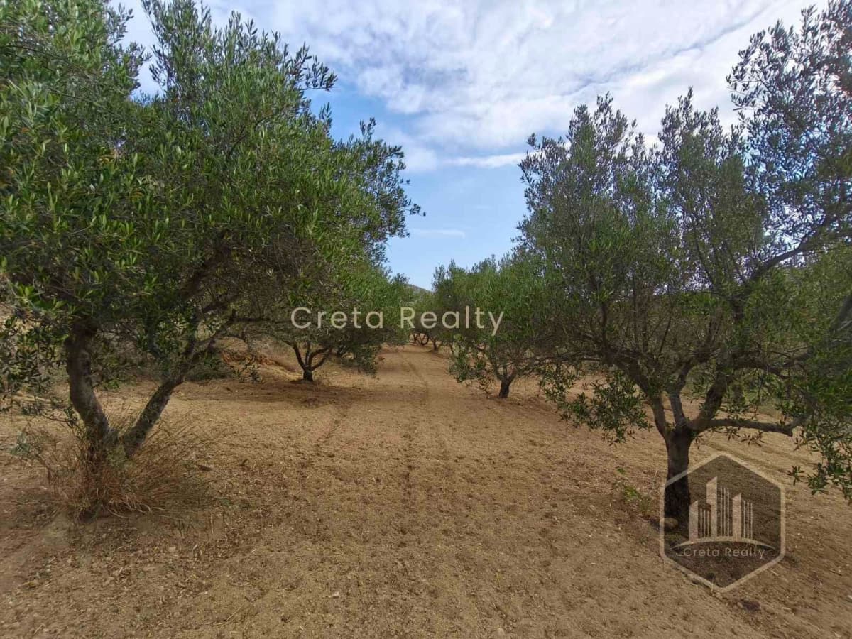 Building Plot in Elia, Episkopi — Photo 6 of 10