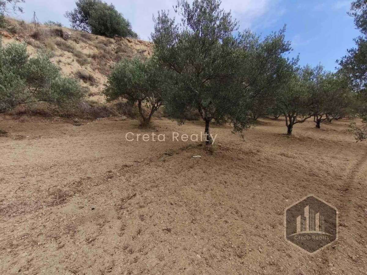 Building Plot in Elia, Episkopi — Photo 7 of 10
