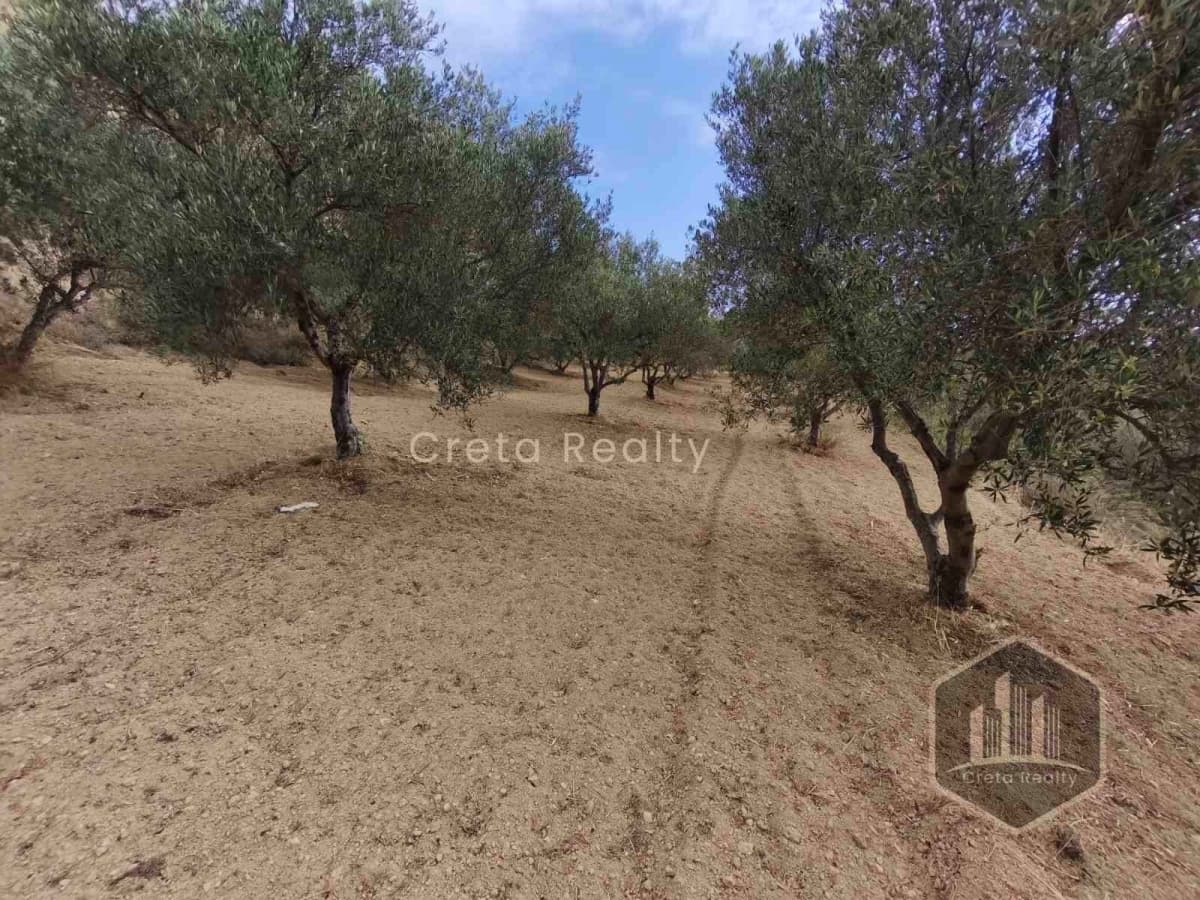 Building Plot in Elia, Episkopi — Photo 8 of 10
