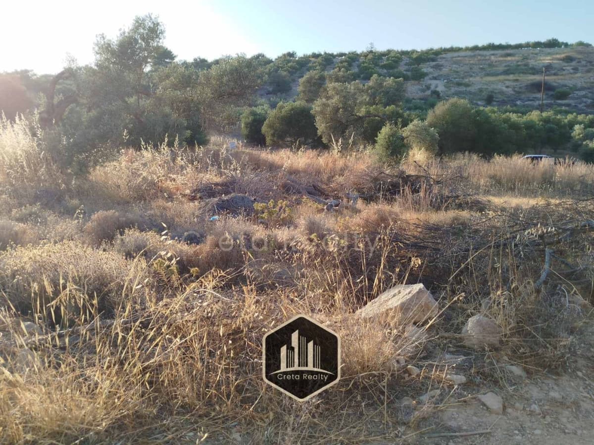 Οικόπεδο στην Καμηλάρι, Τυμπάκι — Φωτογραφία 10 από 15