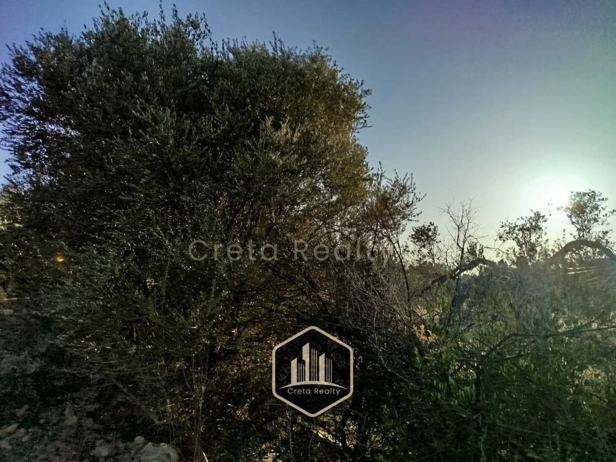 Οικόπεδο στην Καμηλάρι, Τυμπάκι — Φωτογραφία 15 από 15