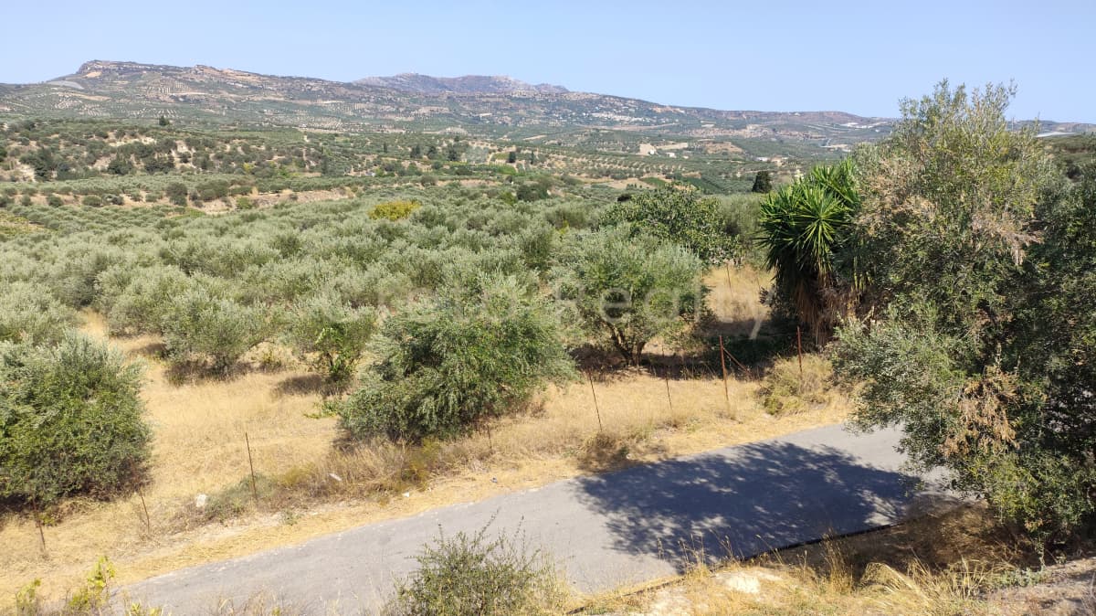 Οικόπεδο στην Μελέσες, Αρχάνες — Φωτογραφία 2 από 4