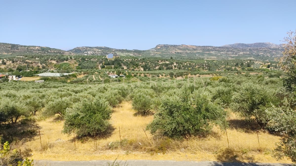 Οικόπεδο στην Μελέσες, Αρχάνες — Φωτογραφία 3 από 4