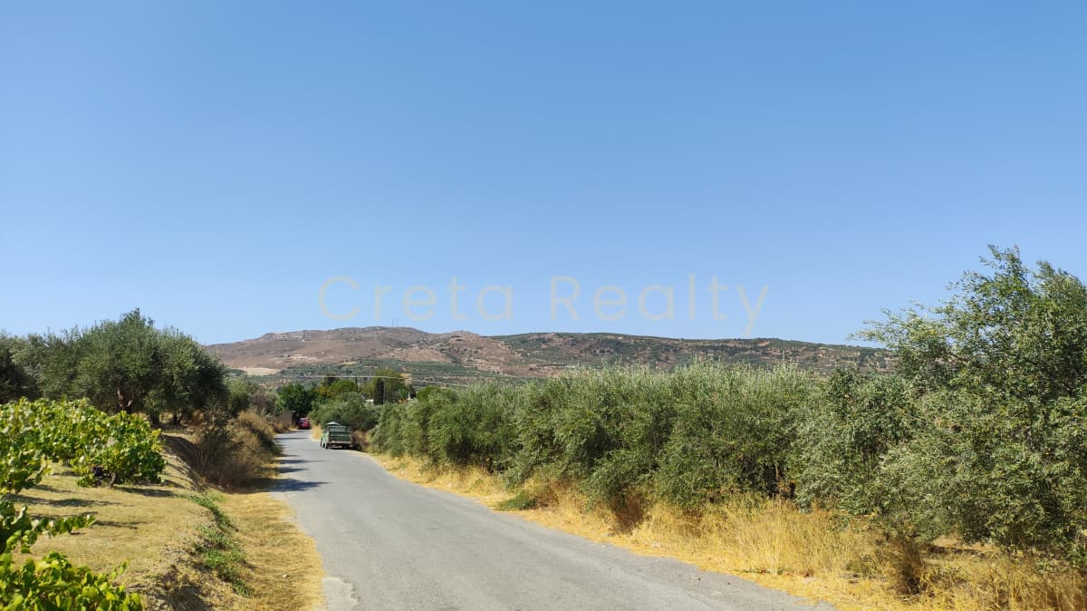 Οικόπεδο στην Μελέσες, Αρχάνες — Φωτογραφία 4 από 4