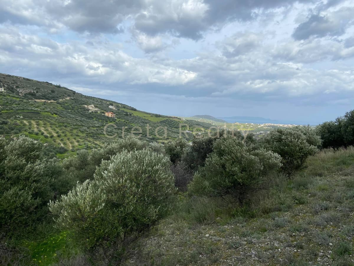 Οικόπεδο στην Κάτω Αρχάνες, Αρχάνες — Φωτογραφία 2 από 8
