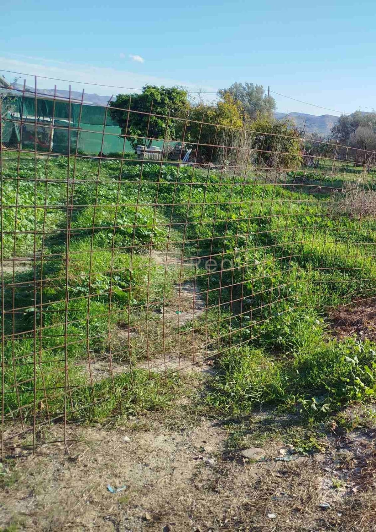 Building Plot in Kappariana, Moires — Photo 1 of 4