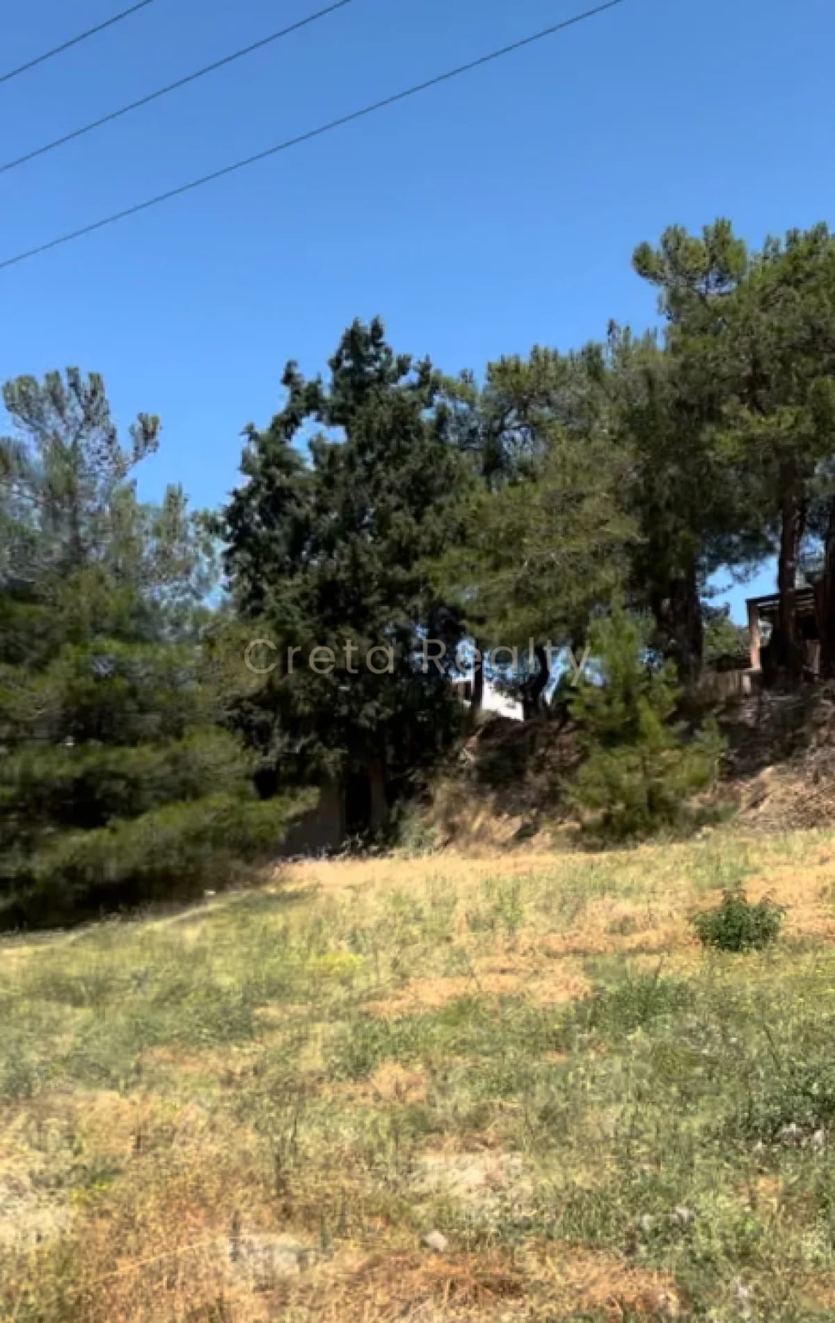 Οικόπεδο στην Άνω Καλέσια, Τέμενος — Φωτογραφία 6 από 6