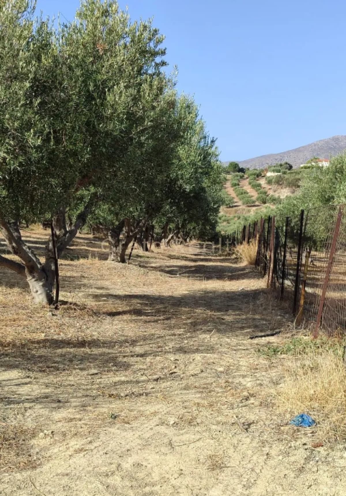 Building Plot in Kollivas, Gazi — Photo 5 of 6