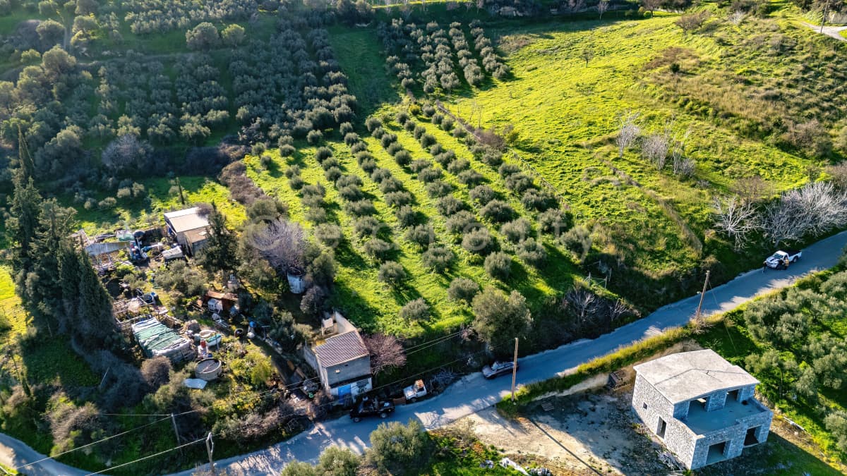 Building Plot in Dafnes, Tetrachori — Photo 7 of 19