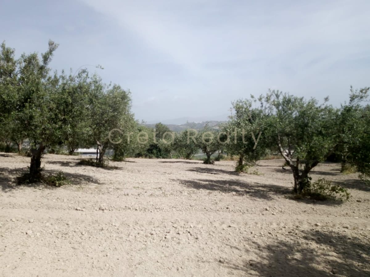 Building Plot in Dafnes, Tetrachori — Photo 16 of 19