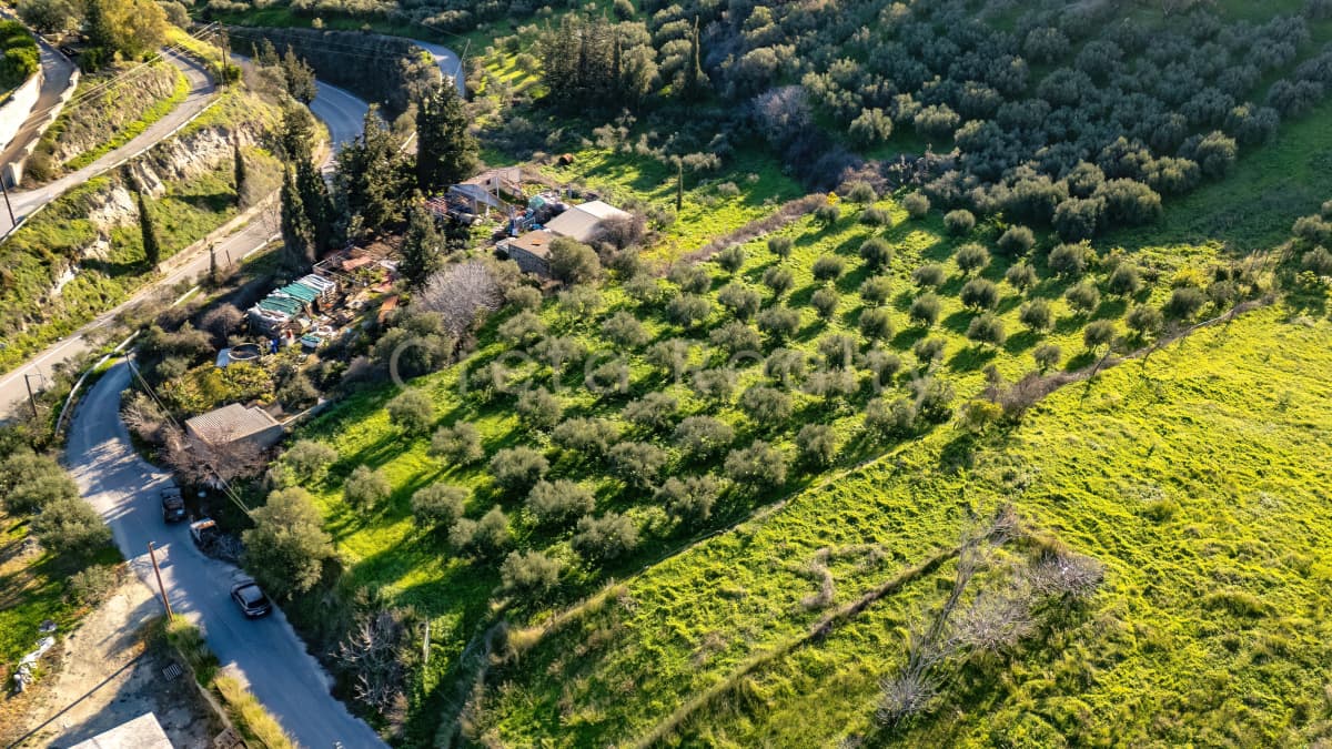 Building Plot in Dafnes, Tetrachori — Photo 4 of 19