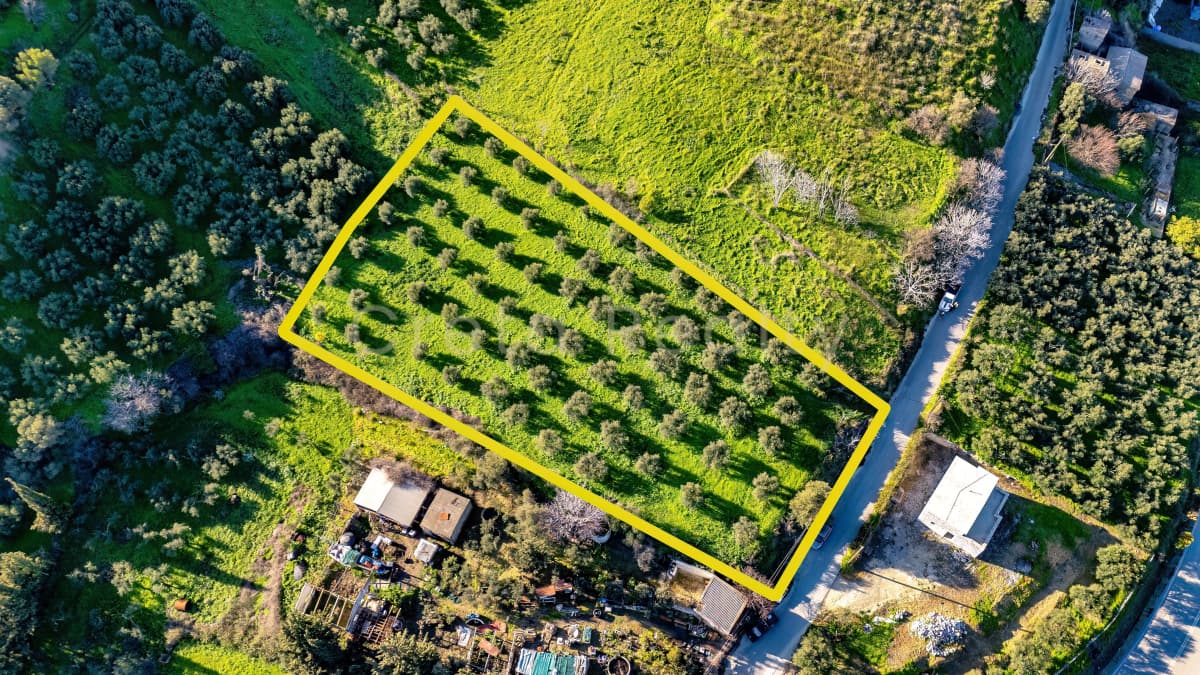 Building Plot in Dafnes, Tetrachori — Photo 8 of 19