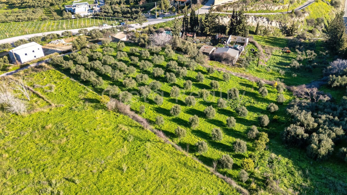 Building Plot in Dafnes, Tetrachori — Photo 1 of 19