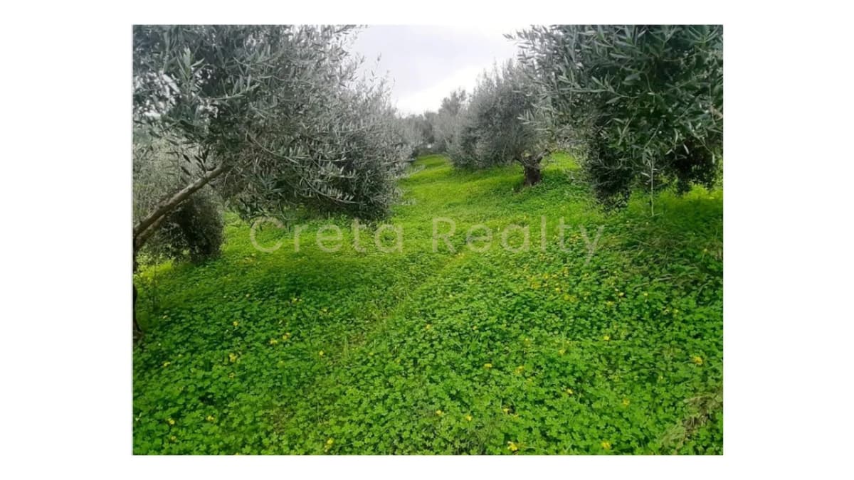 Building Plot in Avdou, Mallia