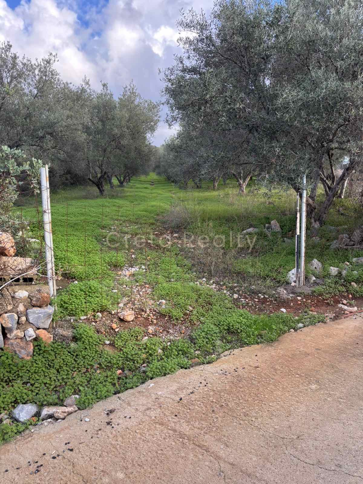 Building Plot in Center, Mallia — Photo 4 of 8