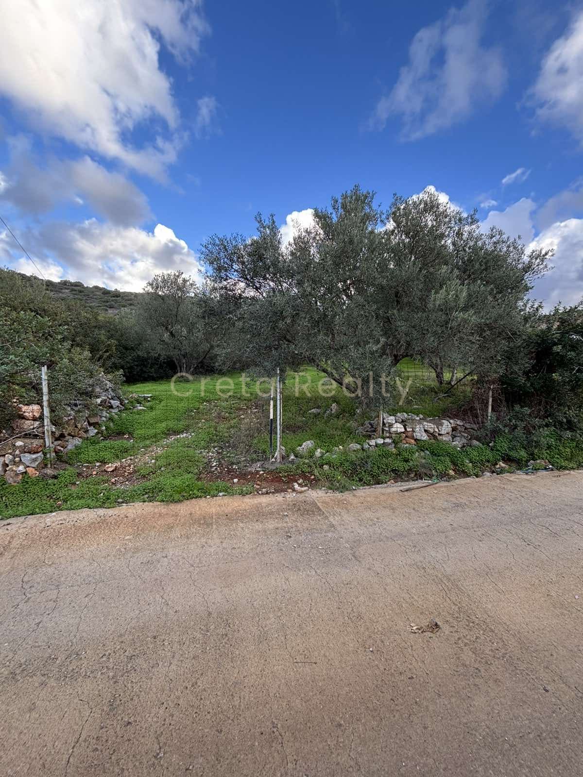 Building Plot in Center, Mallia — Photo 6 of 8