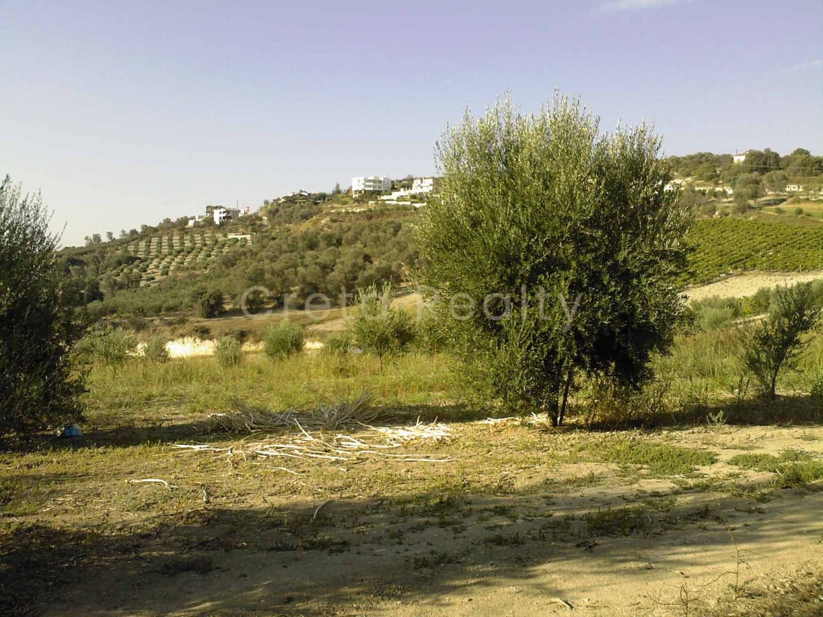 Αγροτεμάχιο στην Βούτες, Τέμενος — Φωτογραφία 2 από 5