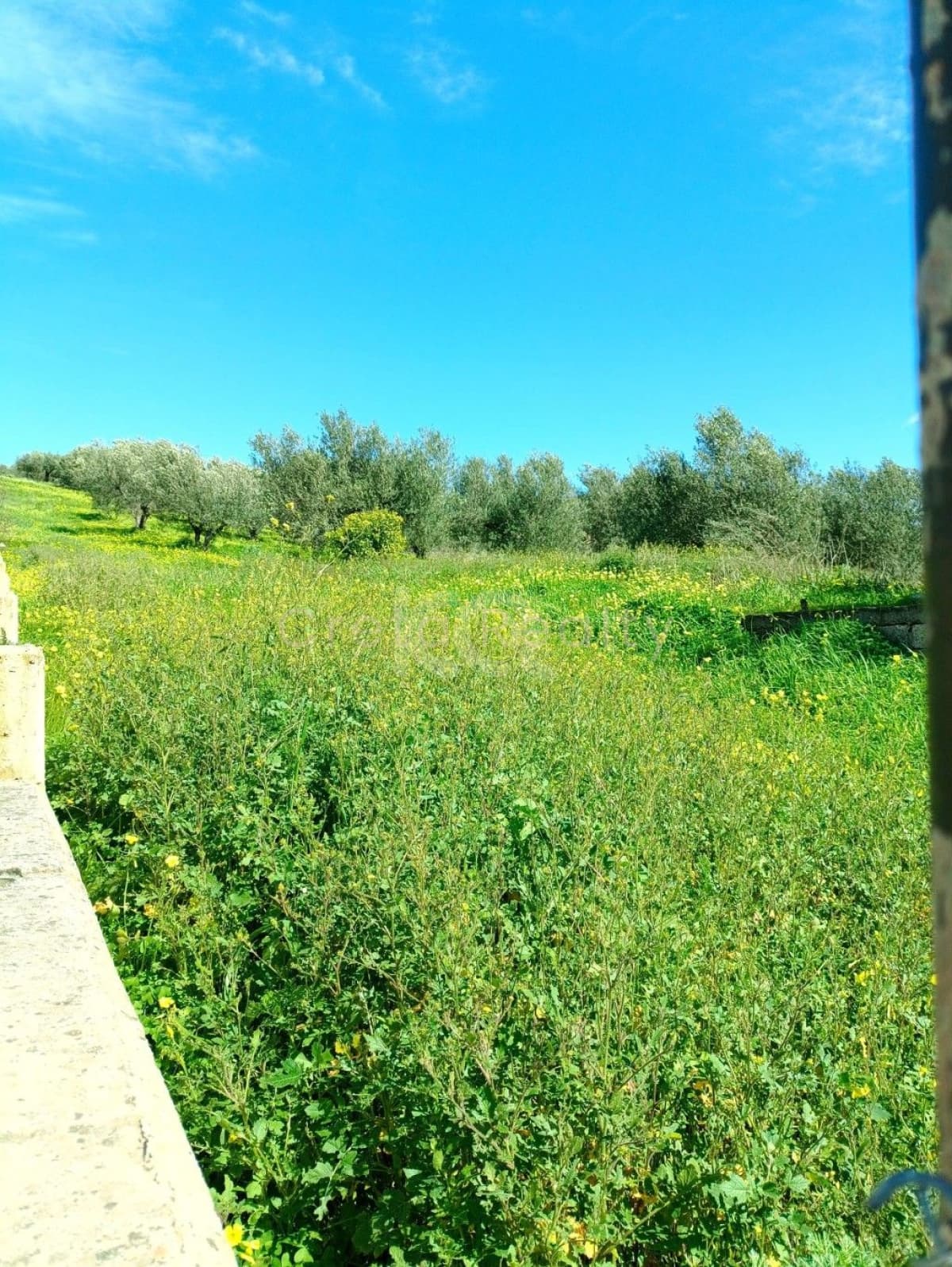 Οικόπεδο στην Μαλάδες, Τέμενος — Φωτογραφία 4 από 5