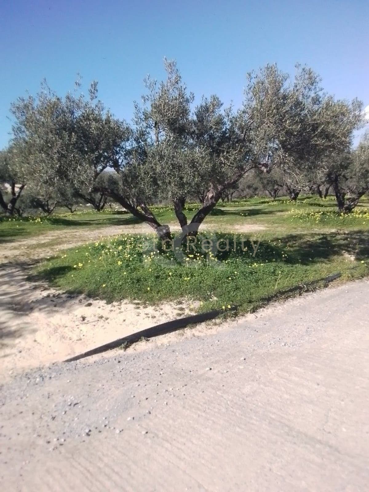 Building Plot in Gournes, Gouves — Photo 3 of 8