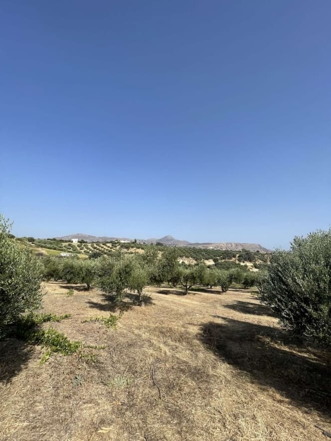 Building Plot in Ano Kalesia, Temenos — Photo 1 of 5