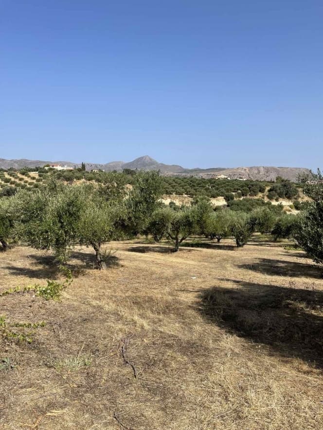 Building Plot in Ano Kalesia, Temenos — Photo 2 of 5