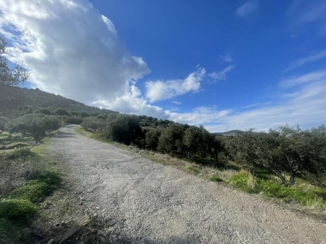 Οικόπεδο στην Αγία Πελαγία, Γάζι — Φωτογραφία 7 από 10