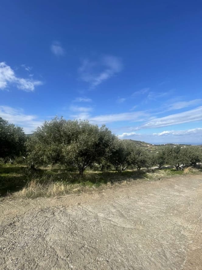 Οικόπεδο στην Αγία Πελαγία, Γάζι — Φωτογραφία 10 από 10