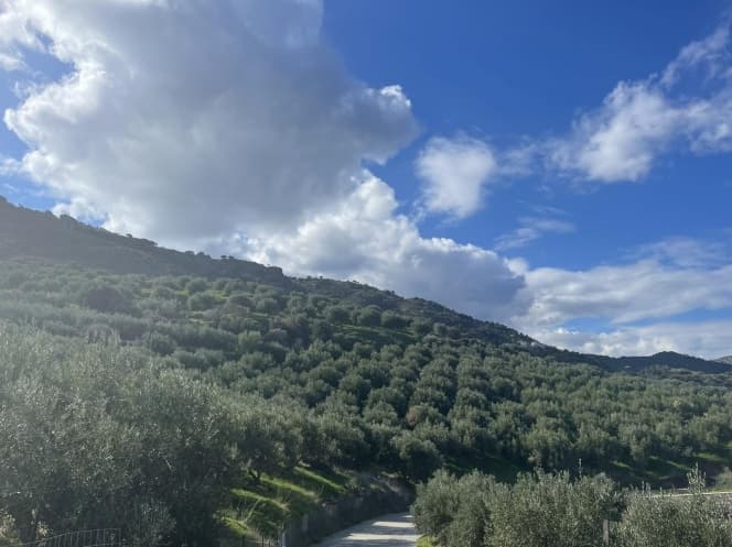 Οικόπεδο στην Αγία Πελαγία, Γάζι — Φωτογραφία 1 από 10