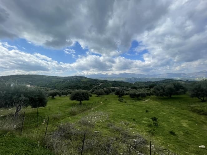 Οικόπεδο στην Βασιλείες, Αρχάνες — Φωτογραφία 4 από 5