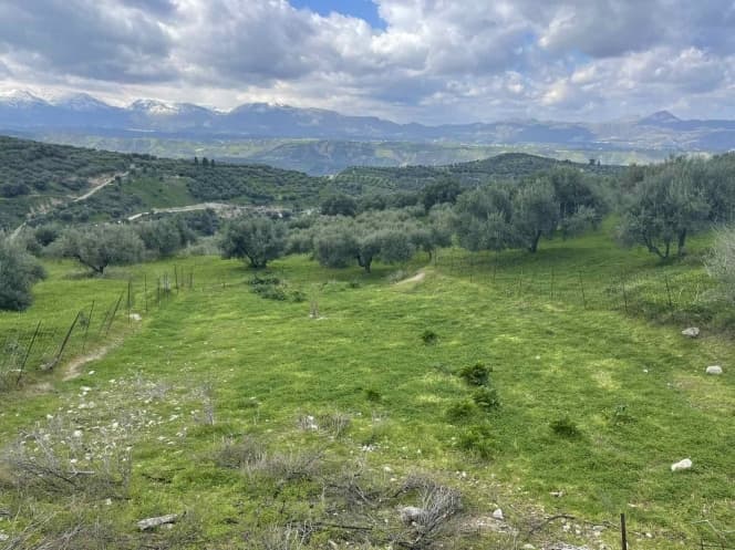 Οικόπεδο στην Βασιλείες, Αρχάνες — Φωτογραφία 5 από 5
