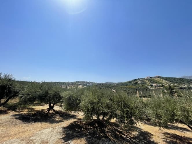 Οικόπεδο στην Πατσίδες, Αρχάνες — Φωτογραφία 5 από 5