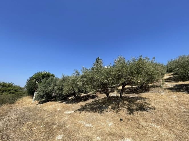 Οικόπεδο στην Πατσίδες, Αρχάνες — Φωτογραφία 3 από 5