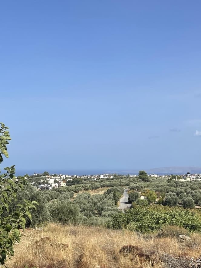 Οικόπεδο στην Βασιλείες, Αρχάνες — Φωτογραφία 3 από 3