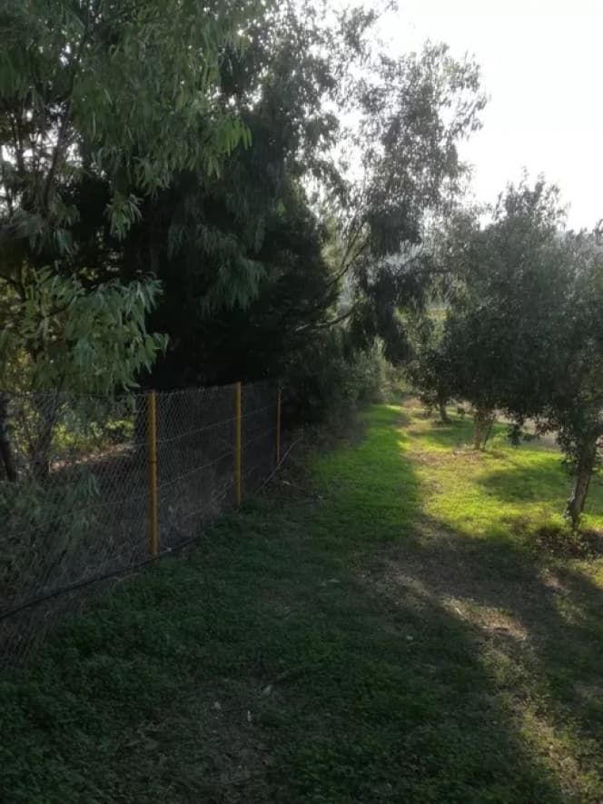 Building Plot in Giofirakia, Temenos — Photo 4 of 4