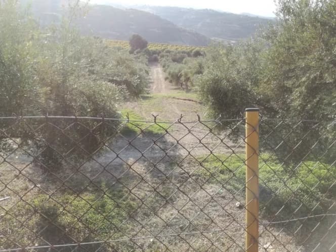 Building Plot in Giofirakia, Temenos — Photo 3 of 4