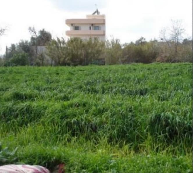 Building Plot in Monochoro, Moires — Photo 1 of 7