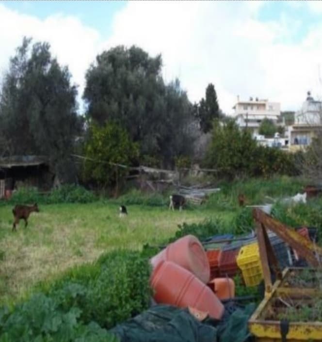 Building Plot in Monochoro, Moires — Photo 7 of 7