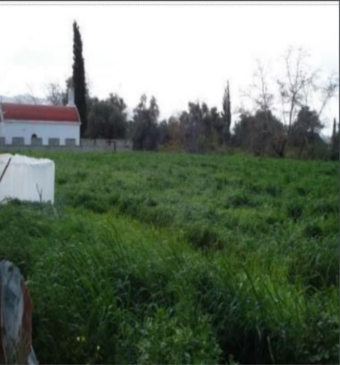 Building Plot in Monochoro, Moires — Photo 6 of 7