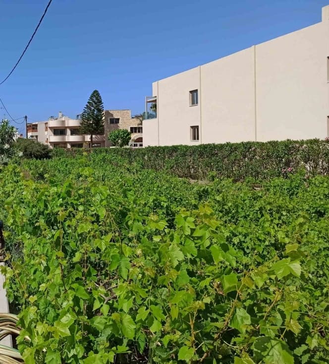 Building Plot in Stalida, Mallia — Photo 1 of 2