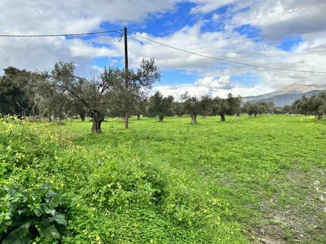 Οικόπεδο στην Κόκκινος Πύργος, Τυμπάκι — Φωτογραφία 2 από 3