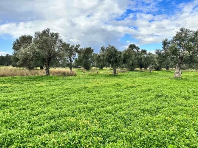 Οικόπεδο στην Κόκκινος Πύργος, Τυμπάκι — Φωτογραφία 1 από 3