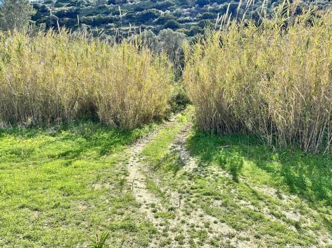 Οικόπεδο στην Πιτσίδια, Τυμπάκι — Φωτογραφία 3 από 3