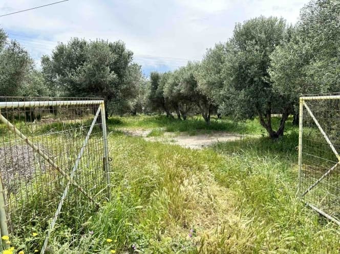 Building Plot in Lofoupoli, Temenos — Photo 2 of 3