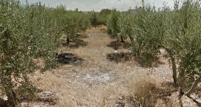 Οικόπεδο στην Άγιοι Θεόδωροι, Γάζι