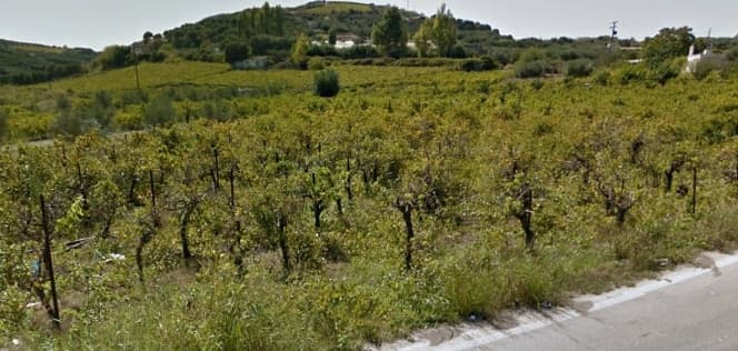 Οικόπεδο στην Άγιος Σύλλας, Αρχάνες — Φωτογραφία 2 από 2