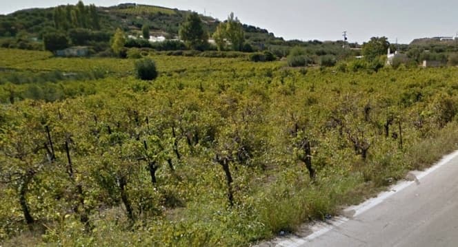 Οικόπεδο στην Άγιος Σύλλας, Αρχάνες — Φωτογραφία 1 από 2