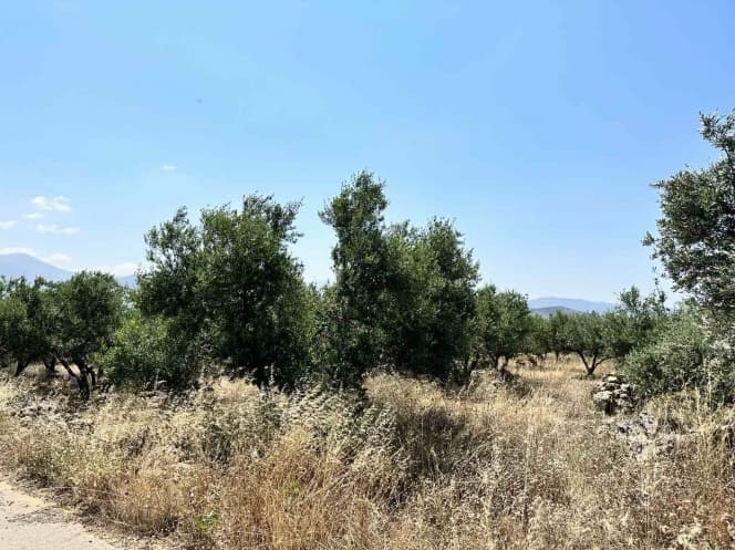 Building Plot in Archontiko, Arkalochori — Photo 1 of 2