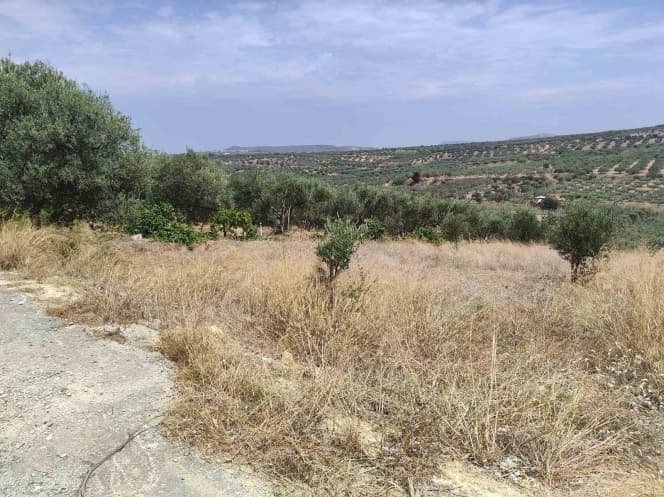 Building Plot in Epano Vatheia, Episkopi — Photo 1 of 2